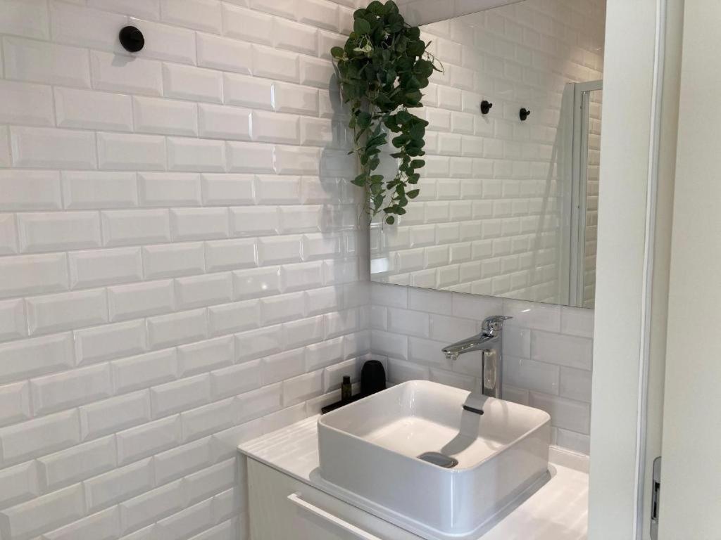 Borgerhouse B&B Antwerpia Zewnętrze zdjęcie